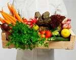 Вчені вивели список продуктів харчування для профілактики і лікування раку