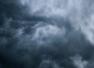 Comprender el sadismo: reconocer las señales de advertencia y protegerse