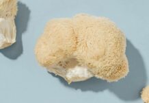 Багряний гриб: потенційні переваги, ризики та те, що вам потрібно знати