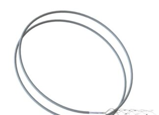 Ставка Synchron в $200 Миллионов: Революция в Интерфейсах Мозг-Компьютер Путём Эволюции