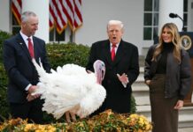 Угода про субсидії Obamacare збільшує акції страховиків