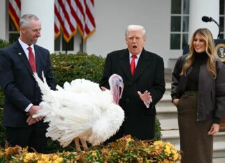 Obamacare-Subventionsabkommen steigert die Aktien von Krankenversicherern