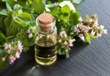 Oil of Oregano: Potential Benefits and Important Considerations