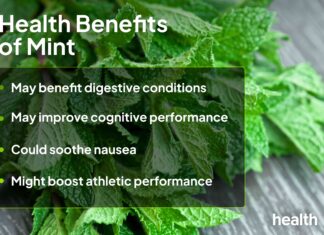Máta: Zdravotní přínosy, rizika a praktické využití