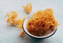 Морський мох: користь, харчова цінність і можливі ризики