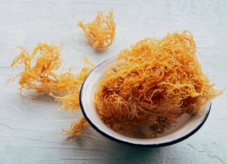 Морские Водоросли (Sea Moss): Польза, Питательная Ценность и Возможные Риски