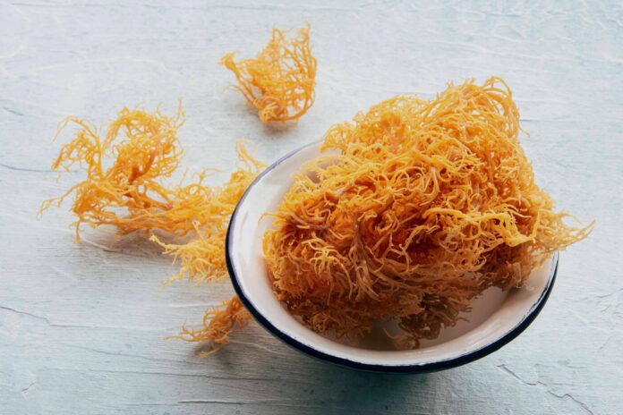 dbd65535-78fb-477b-9e41-e8803a122300