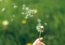 The Science of Letting Go: How to Release Regret and Find Emotional Freedom