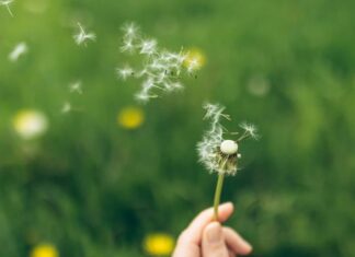 The Science of Letting Go: How to Release Regret and Find Emotional Freedom