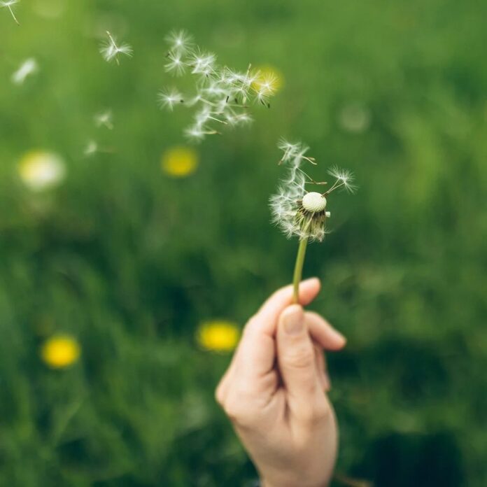 7ba7adc2-f9ef-4944-950f-a26b98268695