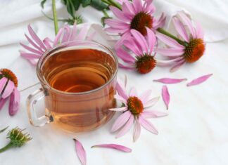 Echinacea w herbacie: kompleksowe spojrzenie na korzyści zdrowotne i dowody naukowe