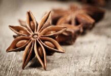 Бадьян: користь для здоров’я, ризики та використання