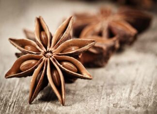 Anyż gwiazdkowaty: korzyści zdrowotne, ryzyko i zastosowania