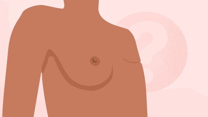 7fb78ba2-b42c-4361-acb5-d905ec2b4b26