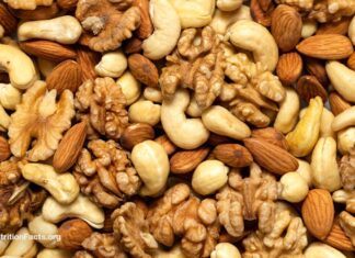 A ligação inesperada entre nozes, qualidade do esperma e função sexual