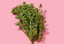 Заспокоєння комариних укусів: ефективні натуральні засоби