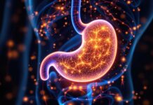 Придушення Голоду: Майбутнє Контролю Апетиту