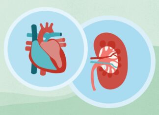 Chronische nierziekten en hartgezondheid: een cruciaal verband