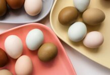 Яєчна Скорлупова Мембрана: Несподіваний Імпульс для Суглобів та Шкіри