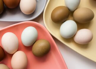 Яичная Скорлуповая Мембрана: Неожиданный Импульс для Суставов и Кожи