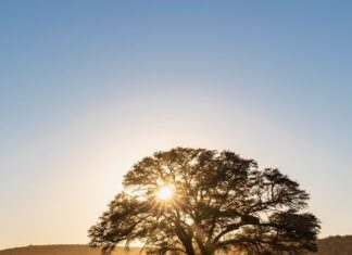 Všímavost v akci: Praktický průvodce uklidňujícím životem