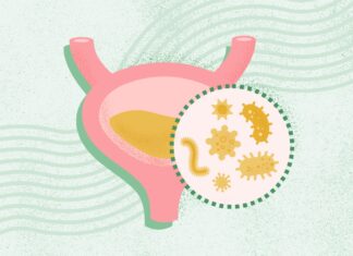 Infections des voies urinaires : un guide complet