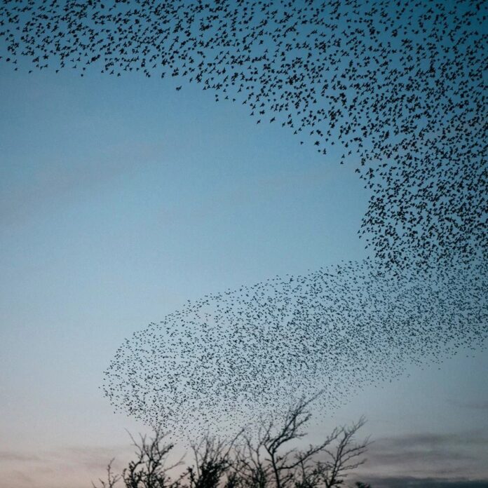 4e612e54-8a76-4a1d-a3b9-83995e72bd6f