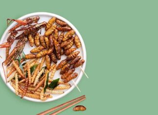 De toekomst van voedsel: waarom eetbare insecten meer zijn dan alleen een rage