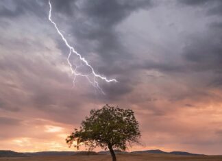 Beyond the Headlines: Understanding Psychosis and Supporting Those Who Experience It
