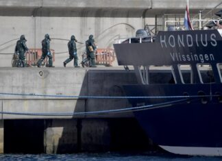 Вирус ханта — это не «коронавирус-26». Перестаньте распускать ложные слухи