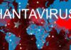 Пять жарких вопросов к тревоге ВОЗ по поводу хантавируса
