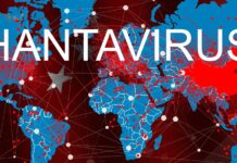 Пять жарких вопросов к тревоге ВОЗ по поводу хантавируса