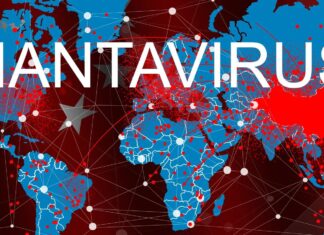 Five Burning Questions From The WHO Hantavirus Alarm