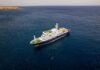 Cruise Ship Tragedy: Understanding the Rare but Lethal Hantavirus Outbreak