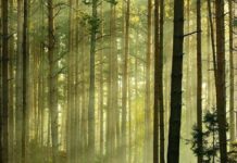 10 способів зупинити панічну хвилю
