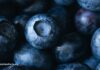 Захистіть свої артерії від насичених жирів за допомогою цих продуктів