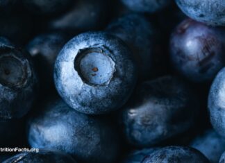 Können Blaubeeren Ihre Arterien nach schlechten Mahlzeiten retten?