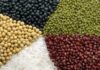 10 продуктів із доведеною ефективністю для здорового старіння