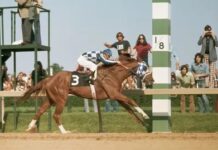 Результати Preakness Stakes 2025: Journalism перемагає у гонці за чорними очима